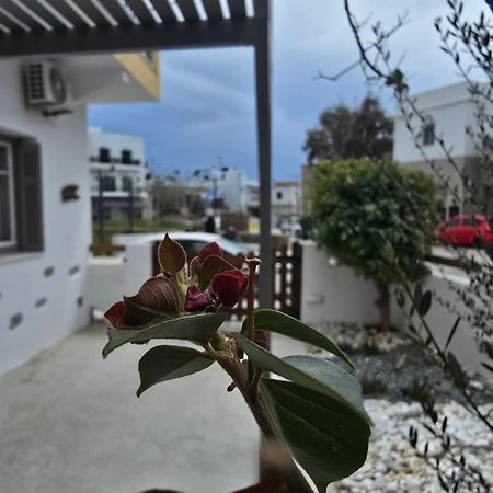 The Garden House Tinos Exterior foto
