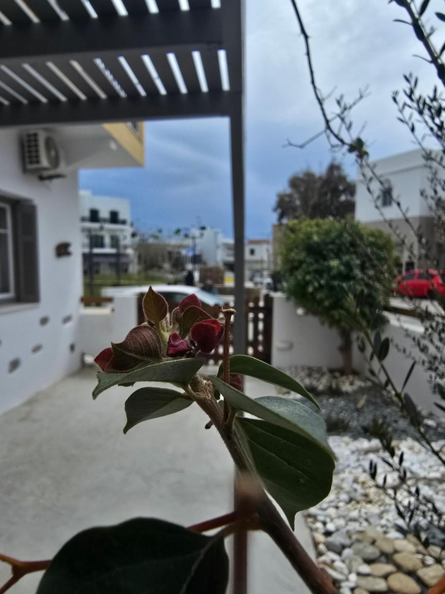 The Garden House Tinos Exterior foto