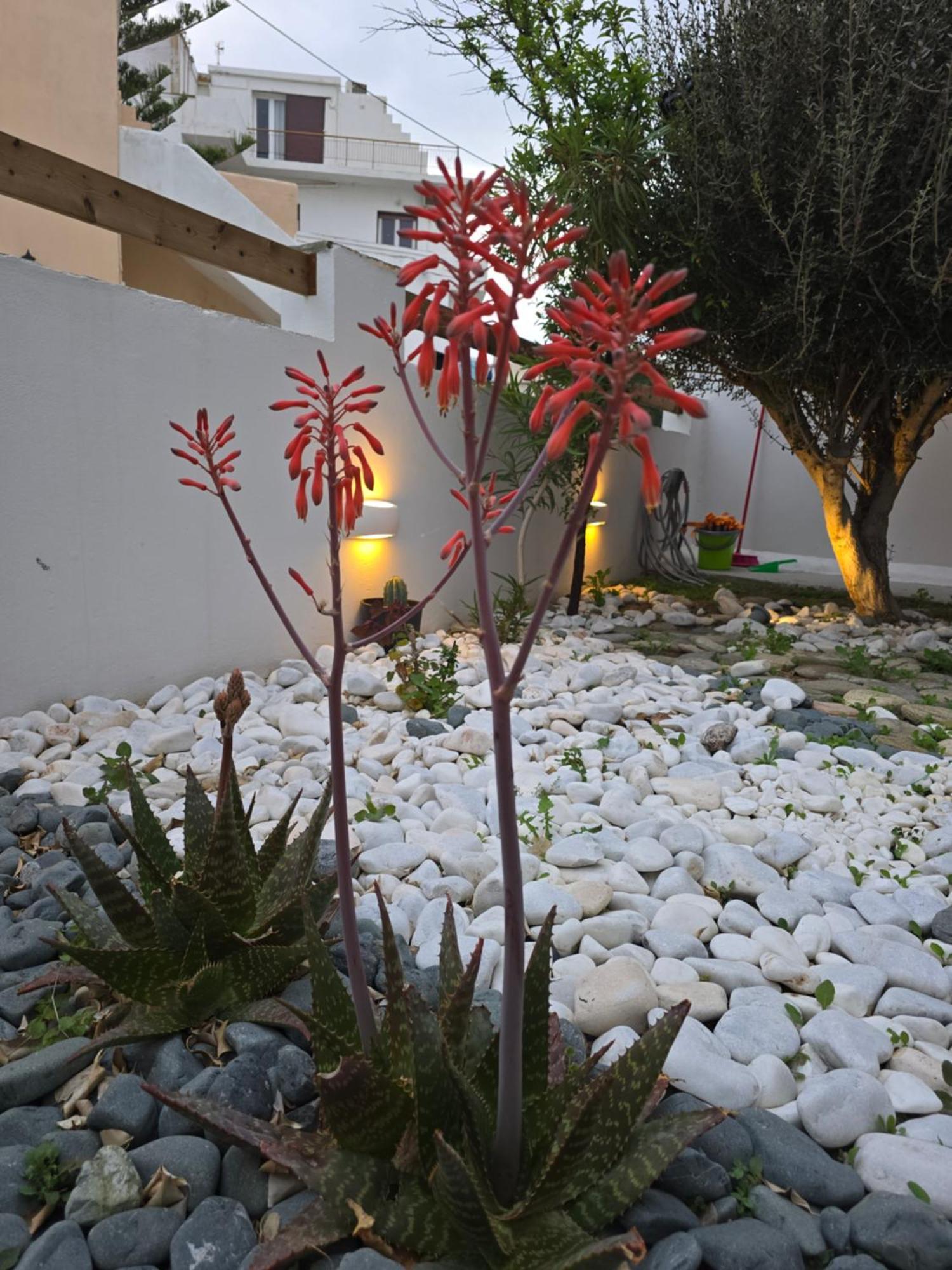 The Garden House Tinos Exterior foto